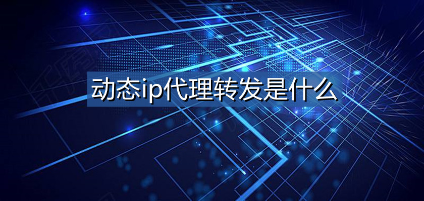 動態代理IP的重要性有哪些？